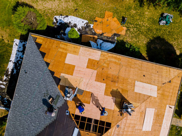 Best Roof Maintenance Services  in Ottumwa, IA