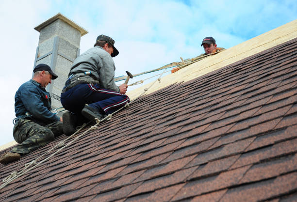 Best Shingle Roofing Installation  in Ottumwa, IA